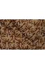 Beige Floral Kalamkari Cotton Fabric