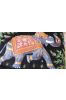 Hand Embroidered Elephant Indian Wall Hangings